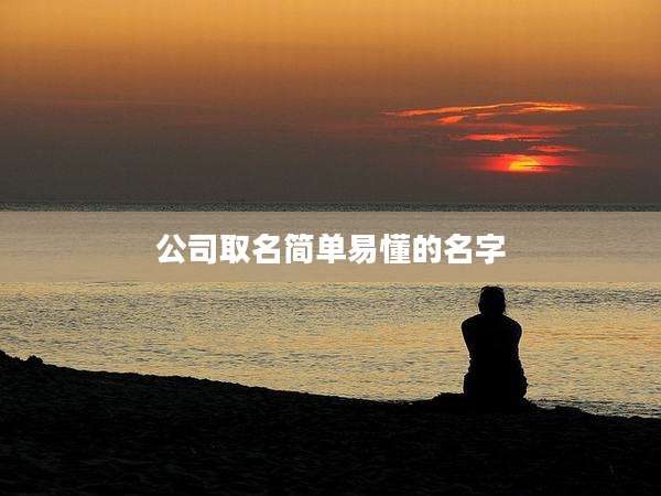 公司取名简单易懂的名字
