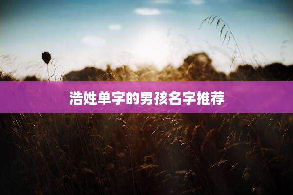 浩姓单字的男孩名字推荐