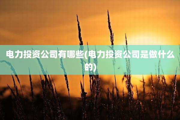 电力投资公司有哪些(电力投资公司是做什么的)