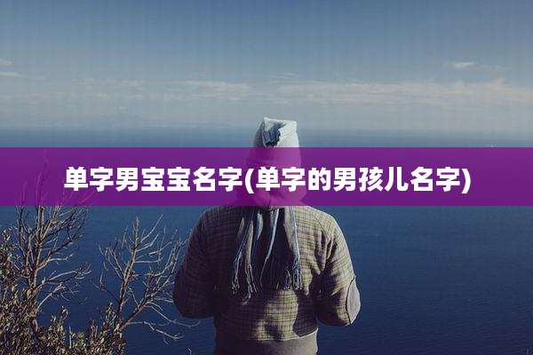 单字男宝宝名字(单字的男孩儿名字)
