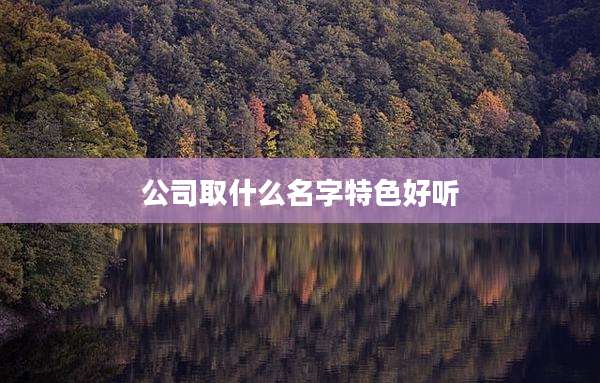 公司取什么名字特色好听