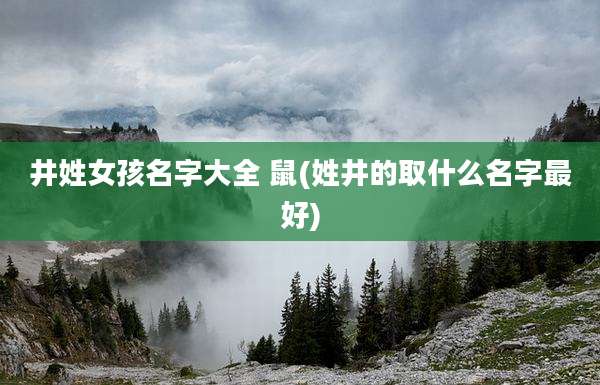 井姓女孩名字大全 鼠(姓井的取什么名字最好)