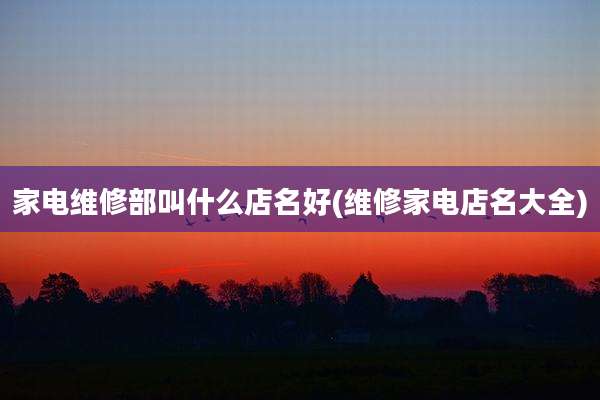 家电维修部叫什么店名好(维修家电店名大全)