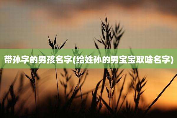 带孙字的男孩名字(给姓孙的男宝宝取啥名字)
