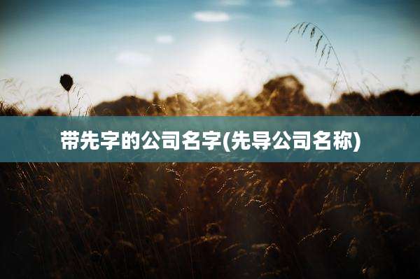 带先字的公司名字(先导公司名称)