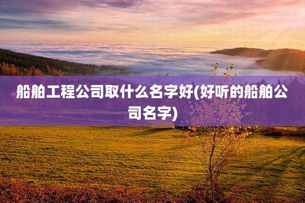 船舶工程公司取什么名字好(好听的船舶公司名字)