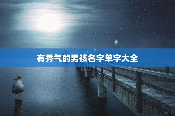 有秀气的男孩名字单字大全