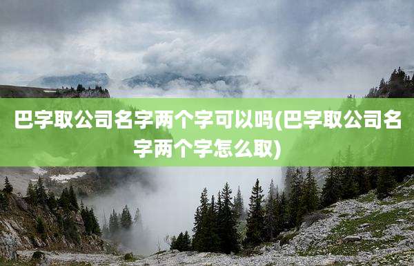 巴字取公司名字两个字可以吗(巴字取公司名字两个字怎么取)