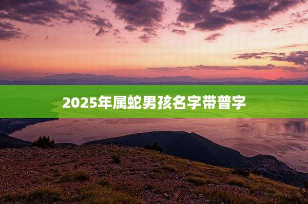 2025年属蛇男孩名字带普字