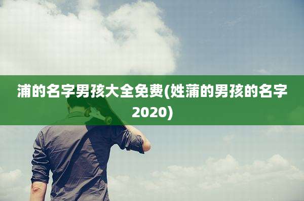 浦的名字男孩大全免费(姓蒲的男孩的名字2020)