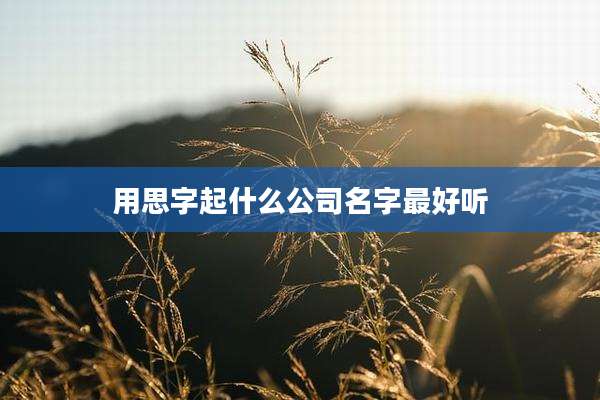 用思字起什么公司名字最好听