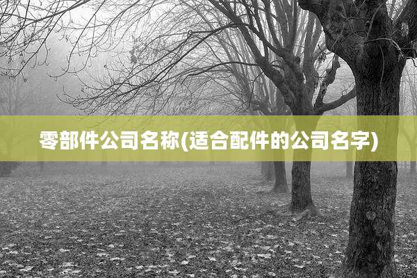 零部件公司名称(适合配件的公司名字)