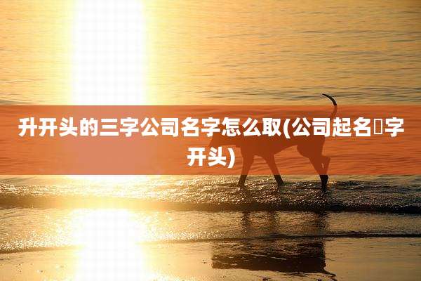 升开头的三字公司名字怎么取(公司起名昇字开头)