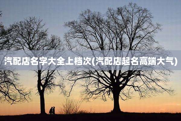 汽配店名字大全上档次(汽配店起名高端大气)