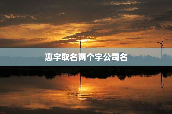 惠字取名两个字公司名