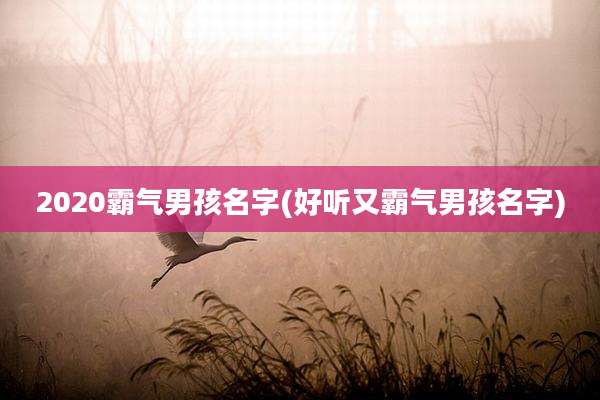 2020霸气男孩名字(好听又霸气男孩名字)