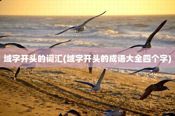 域字开头的词汇(域字开头的成语大全四个字)