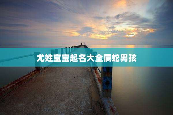 尤姓宝宝起名大全属蛇男孩