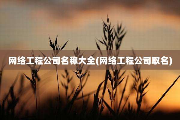 网络工程公司名称大全(网络工程公司取名)