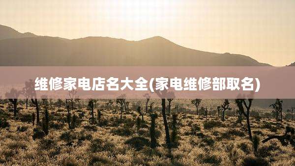 维修家电店名大全(家电维修部取名)