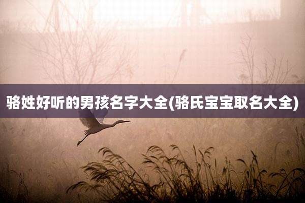 骆姓好听的男孩名字大全(骆氏宝宝取名大全)