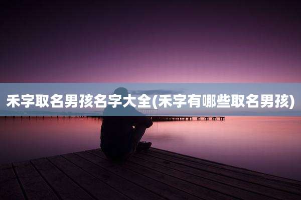 禾字取名男孩名字大全(禾字有哪些取名男孩)