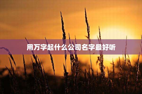 用万字起什么公司名字最好听