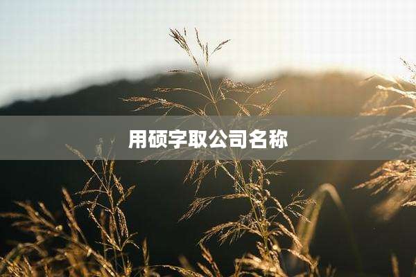 用硕字取公司名称