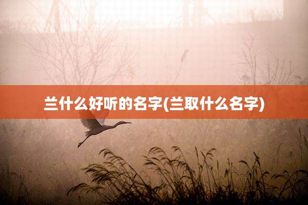 兰什么好听的名字(兰取什么名字)