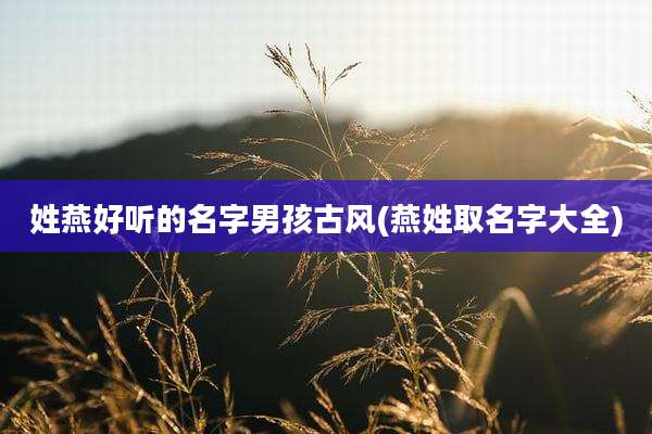 姓燕好听的名字男孩古风(燕姓取名字大全)