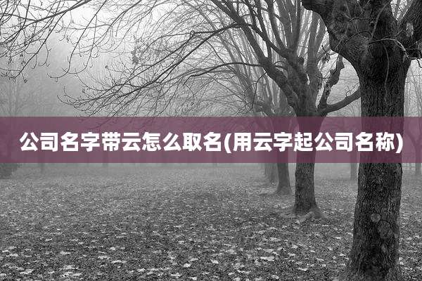 公司名字带云怎么取名(用云字起公司名称)