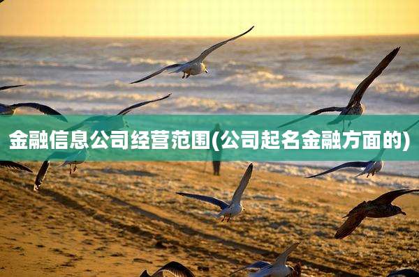 金融信息公司经营范围(公司起名金融方面的)