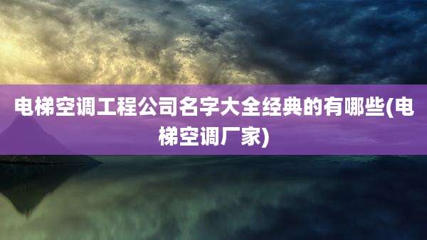 电梯空调工程公司名字大全经典的有哪些(电梯空调厂家)