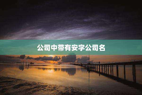 公司中带有安字公司名