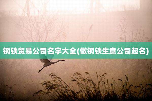 钢铁贸易公司名字大全(做钢铁生意公司起名)