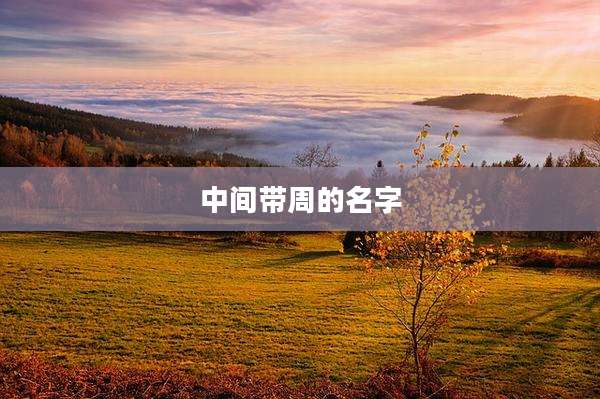 中间带周的名字