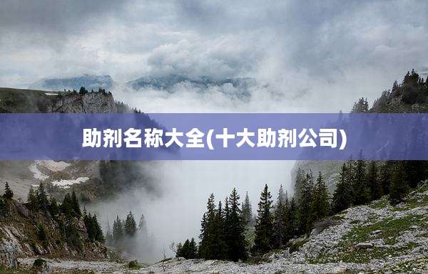 助剂名称大全(十大助剂公司)