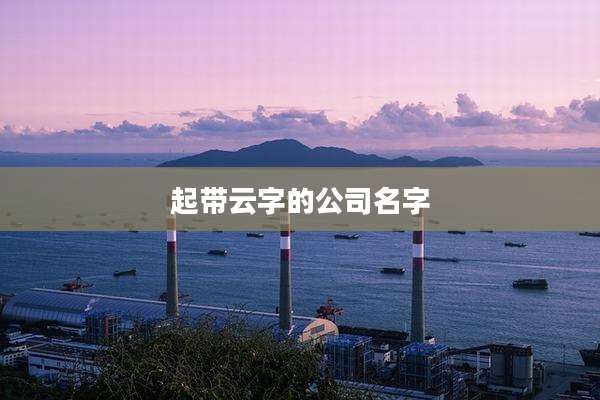 起带云字的公司名字