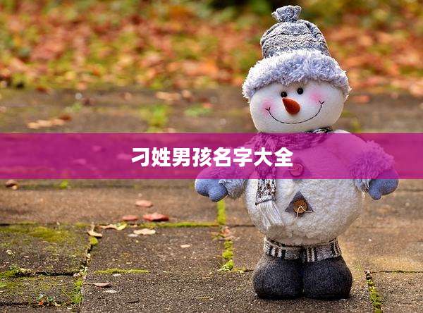 刁姓男孩名字大全