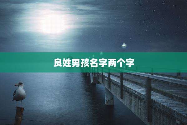 良姓男孩名字两个字