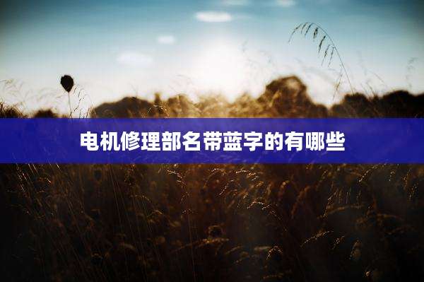 电机修理部名带蓝字的有哪些