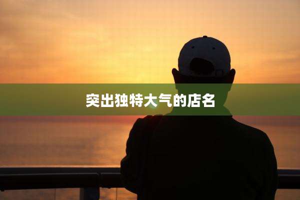突出独特大气的店名