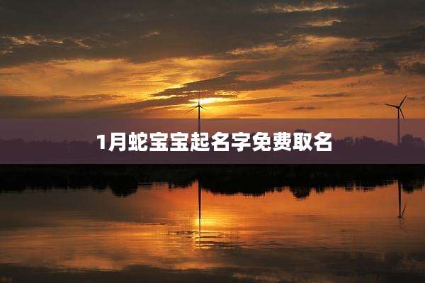 1月蛇宝宝起名字免费取名