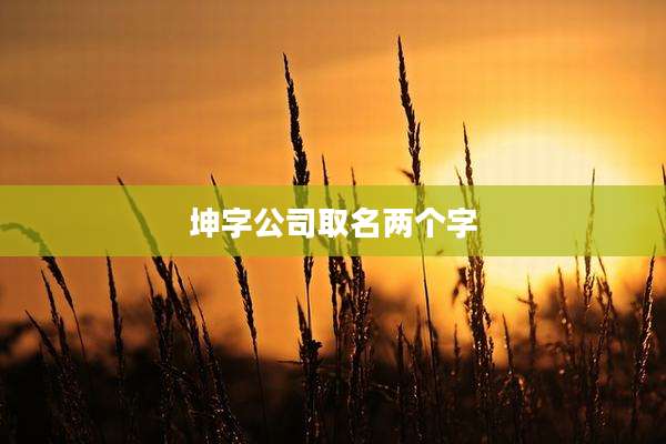 坤字公司取名两个字