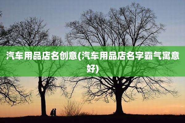 汽车用品店名创意(汽车用品店名字霸气寓意好)