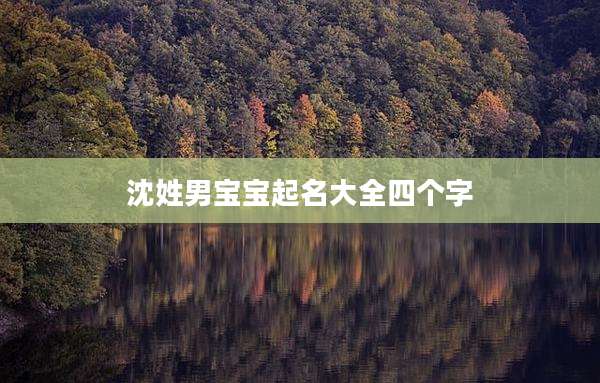 沈姓男宝宝起名大全四个字
