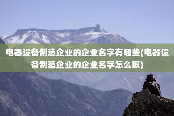 电器设备制造企业的企业名字有哪些(电器设备制造企业的企业名字怎么取)