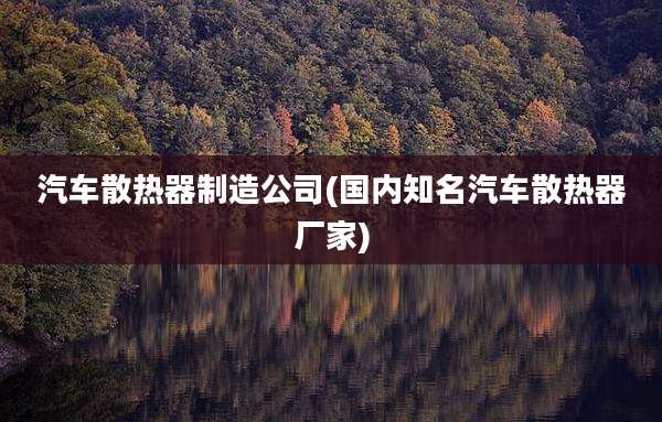 汽车散热器制造公司(国内知名汽车散热器厂家)
