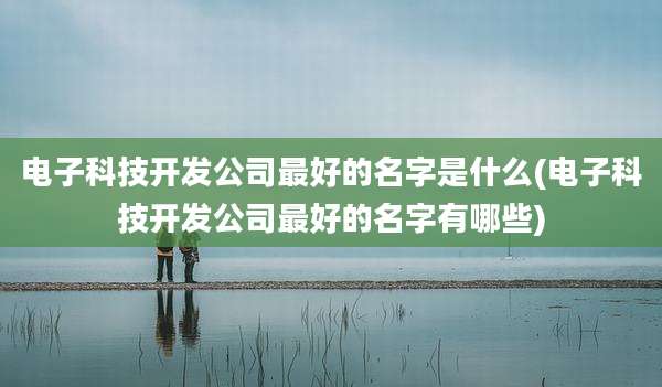 电子科技开发公司最好的名字是什么(电子科技开发公司最好的名字有哪些)