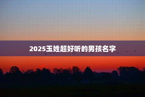 2025玉姓超好听的男孩名字